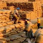 India Expanding Foodgrain Storage Capacity