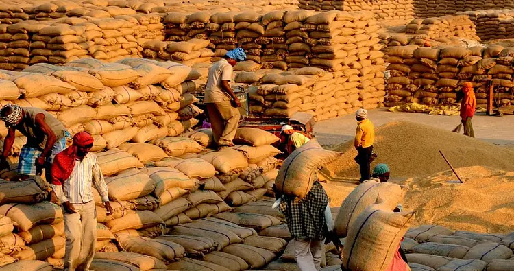 India Expanding Foodgrain Storage Capacity