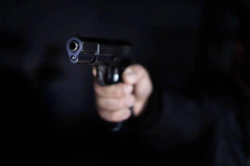 Delhi Man Shoots Estranged Wife, Teen Son Amid Domestic Dispute