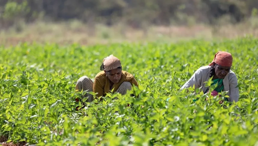 UP government has increased the support price of sugarcane