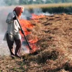 SC seeks detailed report on Stubble burning