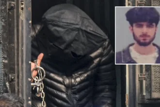 NIA gets 10 days custodial remand of Jasir Bilal Wani