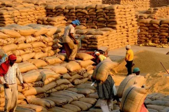 India Expanding Foodgrain Storage Capacity