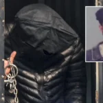 NIA gets 10 days custodial remand of Jasir Bilal Wani